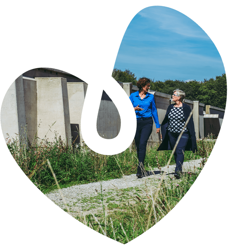 Nadenken over sterven